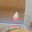 향동숲한의원 이미지