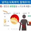 피트니스 M 이미지