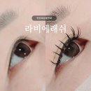 라비에래쉬 네이버블로그