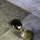 밀양빨간지붕 이미지