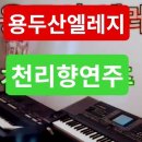 💥용두산엘레지 이미지
