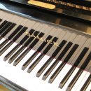 피아노의숲음악학원 이미지