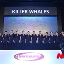 킬러웨일즈
