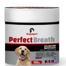 로얄펫 뉴트리션 이미지