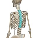 더 NEW 패밀리파크 휘트니스 이미지