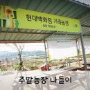 미르네농장 이미지