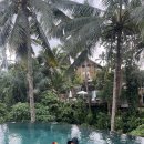 동부 비상 제011호 | 발리 여행 치안 위험할까요? 고민된다면 확인하세요!