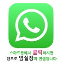 유림자동차유리