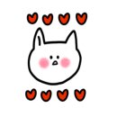 솔지카페 이미지