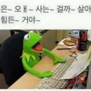 코드;딜라이트