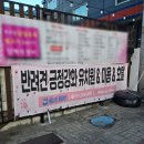 헬로우버디 | 대구 달서구 애견유치원 '헬로우버디 대구달서점' 체험등원 후기