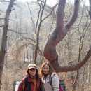 (주)하늘재
