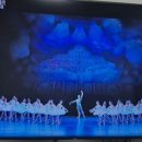 영상으로 만나는 발레<라 바야데르> | 라 바야데르 TV로 직관한 후기