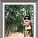 월정사성보박물관 이미지