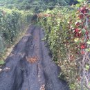 갈마농원 이미지