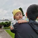 모모파크 이미지