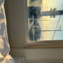 내게와 묵호 이미지