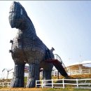 장수승마로 이미지