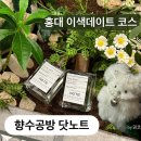 홍대 향수공방 닷노트 후기 ⎹ 서울 이색 데이트 코스 추천