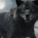 토르컴퍼니 이미지