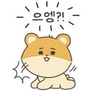 탑앤미정형외과마취통증의학과의원 이미지