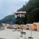 경복대로 | 남양주 진접 캠핑식당 &#39;늘데이&#39; 후기 아이와 함께 즐기는 가족 외식 명소!