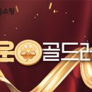 행운골드