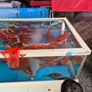 바닷속으로 | [울진 아이랑 가볼만한 곳] 국립울진해양과학관 바닷속전망대 후기
