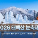 덕유산힐링존 | ❄️ 2026 태백산눈축제 총정리! 겨울 힐링여행 풀코스
