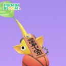 사파동172 이미지