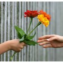 미쁨스토어 이미지