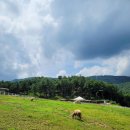 다정목장 이미지