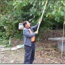 송천농장 이미지