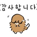 레디에이트(RADIATE) 이미지