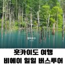 스타펫미팅 | [훗카이도,삿포로 여행] 비에이·후라노 버스 투어 비교! (삿포로역,오도리역 미팅 장소별 정리)