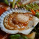 도심어부 이미지