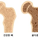 아지트 짐 이미지
