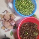 별빛사랑 민박 이미지