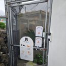 세화 정원 | 귀여운 고양이들과 맛있는 커피까지! 카페리 구좌 카페 평대리해변 세화 소품샵 강추 후기 내돈내산