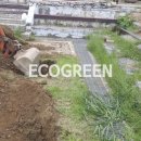 원주초등학교 이미지