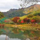 문경새재 이미지