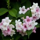 해찬농원 이미지