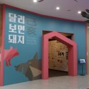 돼지전