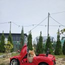 댕그라운드 이미지