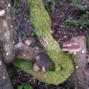 우리유통 이미지