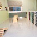 펫(PET)과 함께 이미지