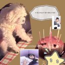 (유)진동택시 | [일상] 생일 주간을 맞은 오타쿠 일상