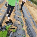 향교농장 이미지