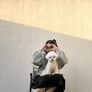 리포소 | 경주여행 숙소 리포소 애견동반풀빌라