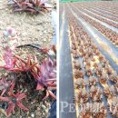 해동헬스케어 이미지